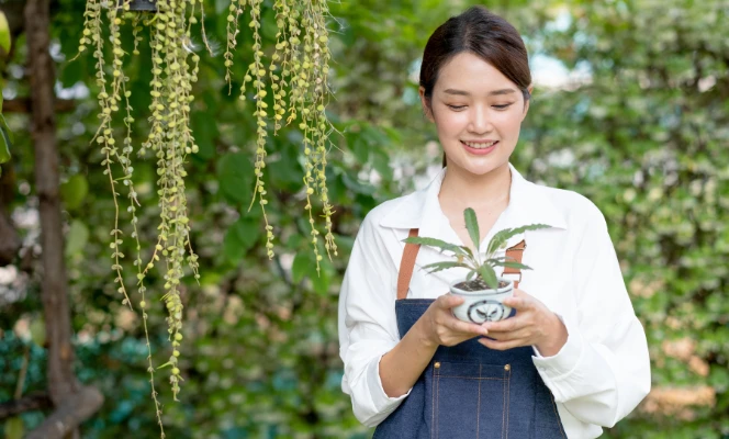Gardening 101