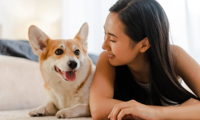 Simple Daily Habits for a Happy Pet at Home