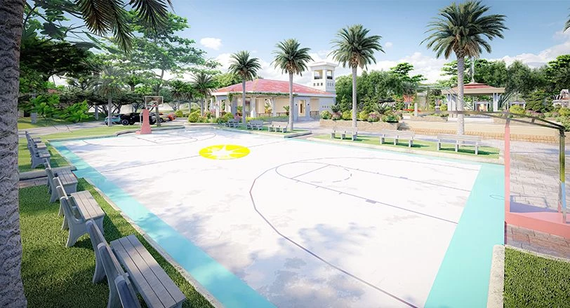 Basketball Court