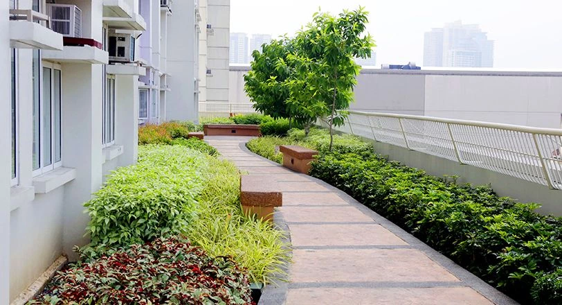 Jogging Path