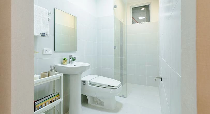 Toilet & Bath