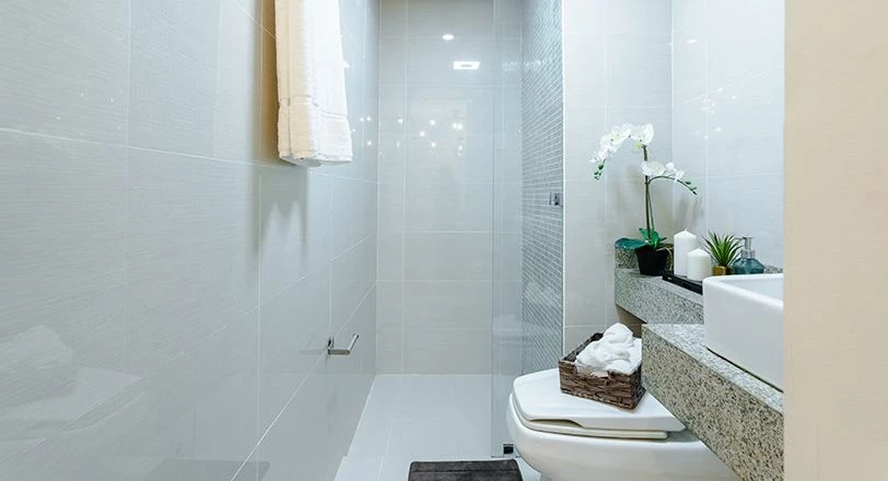 Toilet & Bath