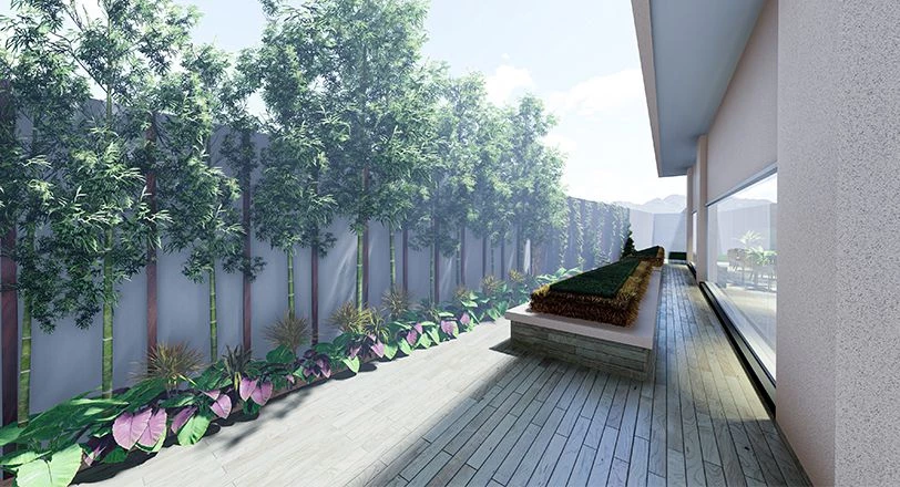 Zen Garden