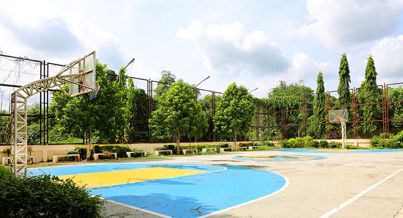 Basketball Court