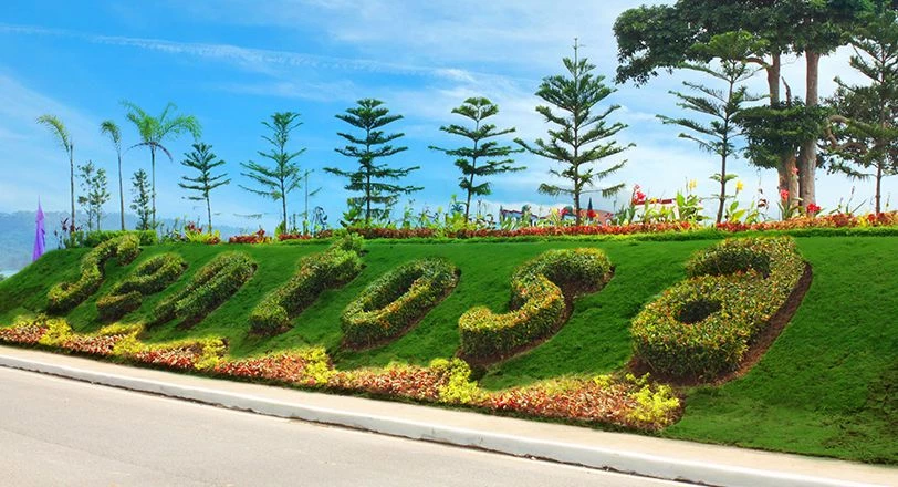 Landscape